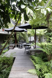Albert Heights Apartments Courtyard