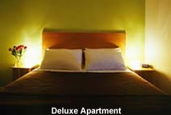 deluxe apartment bedroom with queen size bed