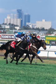 Spring Racing Carnival